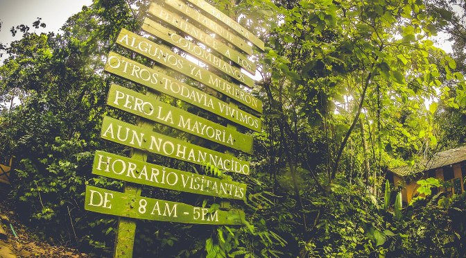 Cierre Temporal del Parque