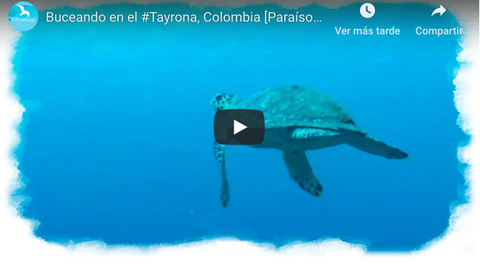 Buceando en el Tayrona.